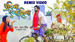 Pudina Ae Haseena-Remix Video