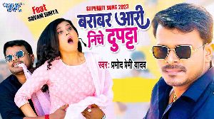 Barabar Aari Niche Dupatta